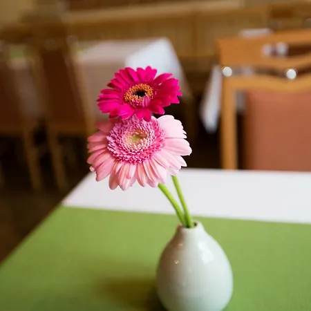 Elisa Maison d'hôtes 3*